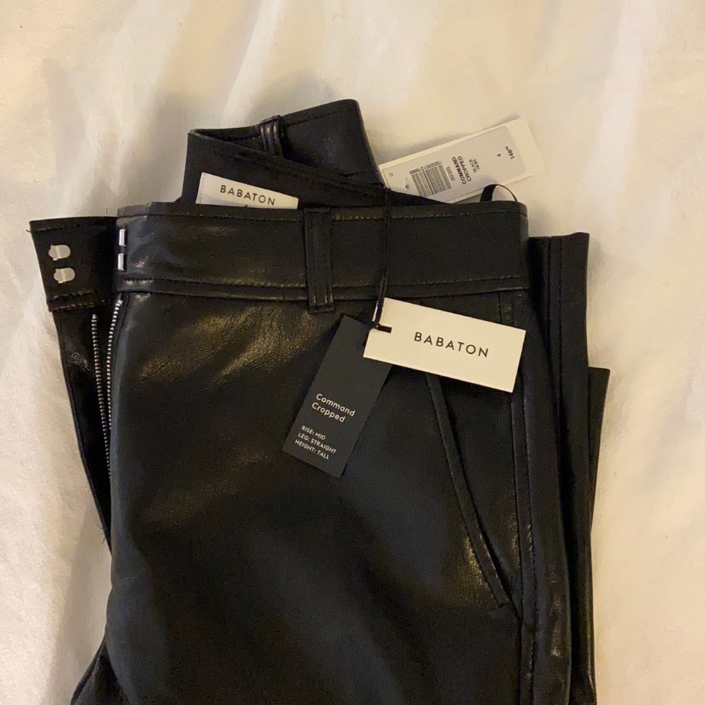 Aritzia Leather Pants - Size 4 Command Cropped